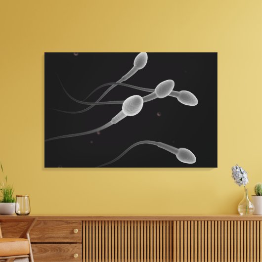 Konzeptuelles Bild männlicher Spermien Leinwanddruck (Insitu (Wohnzimmer))