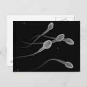 Konzeptuelles Bild männlicher Spermien Postkarte (Vorne/Hinten)