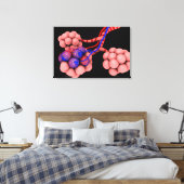 Konzeptuelles Bild von Alveoli 2 Leinwanddruck (Insitu (Schlafzimmer))