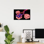 Konzeptuelles Bild von Alveoli 2 Poster (Heimbüro)