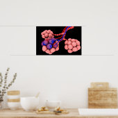 Konzeptuelles Bild von Alveoli 2 Poster (Küche)