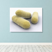 Konzeptuelles Bild von Bakterien 2 Leinwanddruck (Insitu (Holzboden))