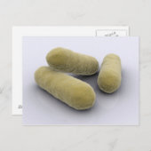 Konzeptuelles Bild von Bakterien 2 Postkarte (Vorne/Hinten)