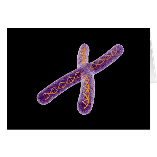 Konzeptuelles Bild von Chromosom 2 (Vorderseite (Horizontal))