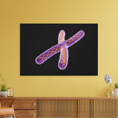Konzeptuelles Bild von Chromosom 2 Leinwanddruck (Insitu (Wohnzimmer))