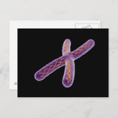 Konzeptuelles Bild von Chromosom 2 Postkarte (Vorne/Hinten)