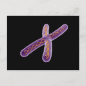 Konzeptuelles Bild von Chromosom 2 Postkarte (Vorderseite)