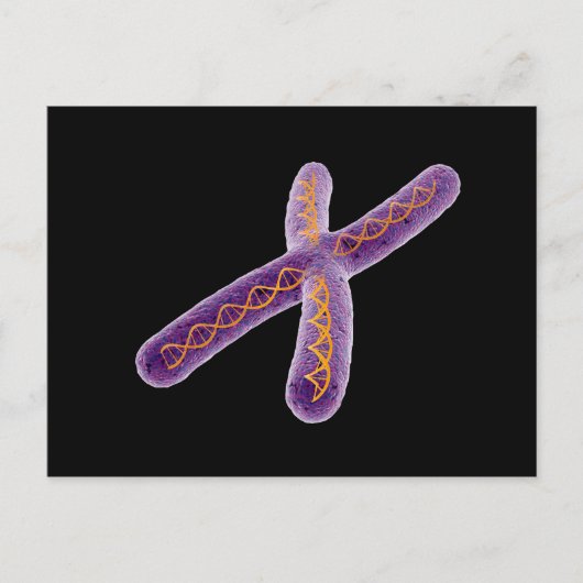 Konzeptuelles Bild von Chromosom 2 Postkarte (Vorderseite)