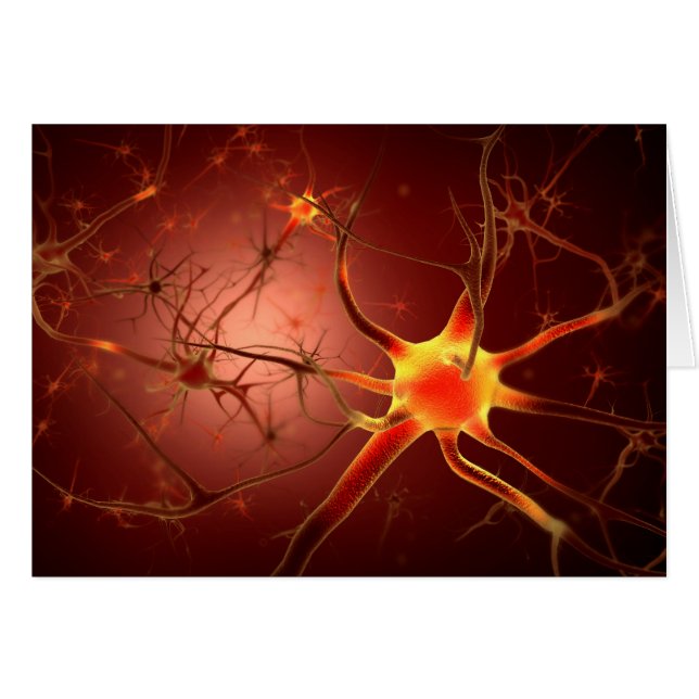 Konzeptuelles Bild von Neuron 1 (Vorderseite (Horizontal))