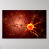 Konzeptuelles Bild von Neuron 1 Poster (Vorne)