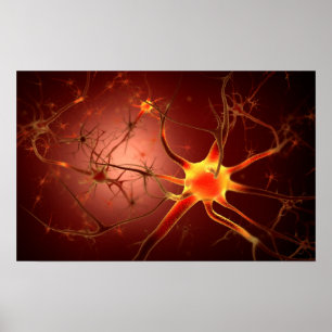 Konzeptuelles Bild von Neuron 1 Poster