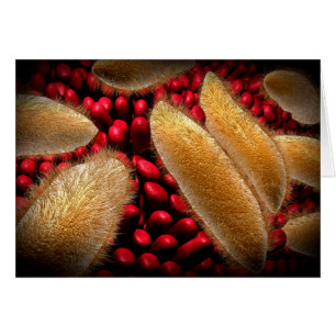 Konzeptuelles Bild von Paramecium 1