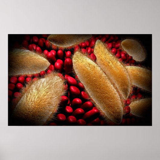 Konzeptuelles Bild von Paramecium 1 Poster (Vorne)