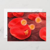 Konzeptuelles Bild von Paramecium 2 Postkarte (Vorne/Hinten)