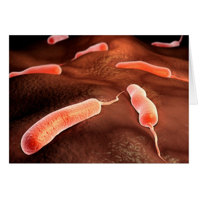 Konzeptuelles Bild von Vibrio Cholerae 1 (Vorderseite (Horizontal))