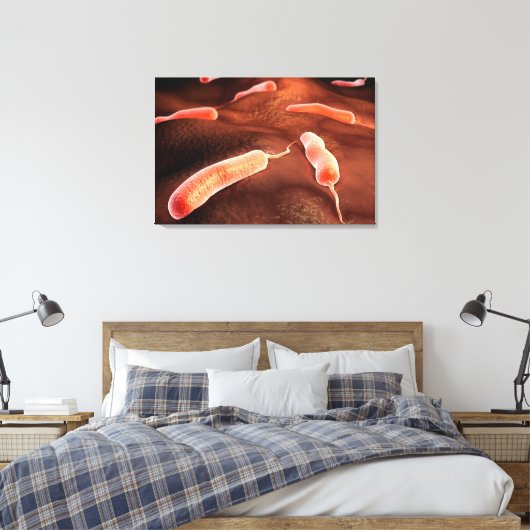 Konzeptuelles Bild von Vibrio Cholerae 1 Leinwanddruck (Insitu (Schlafzimmer))