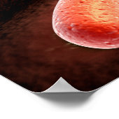 Konzeptuelles Bild von Vibrio Cholerae 1 Poster (Ecke)