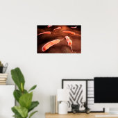 Konzeptuelles Bild von Vibrio Cholerae 1 Poster (Heimbüro)