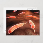 Konzeptuelles Bild von Vibrio Cholerae 1 Postkarte (Vorne/Hinten)