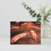 Konzeptuelles Bild von Vibrio Cholerae 1 Postkarte (Stehend Vorderseite)