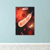 Konzeptuelles Bild von Vibrio Cholerae 2 Leinwanddruck (Insitu (Holzboden))