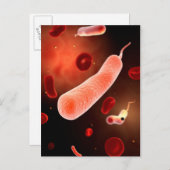 Konzeptuelles Bild von Vibrio Cholerae 2 Postkarte (Vorne/Hinten)