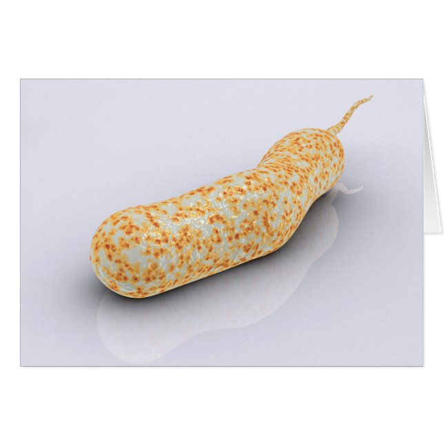 Konzeptuelles Bild von Vibrio Cholerae 3 (Vorderseite (Horizontal))