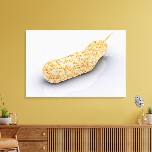 Konzeptuelles Bild von Vibrio Cholerae 3 Leinwanddruck (Insitu (Wohnzimmer))