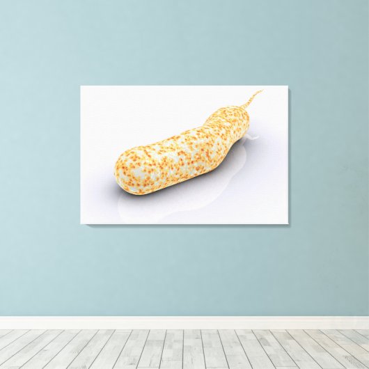 Konzeptuelles Bild von Vibrio Cholerae 3 Leinwanddruck (Insitu (Holzboden))