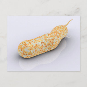Konzeptuelles Bild von Vibrio Cholerae 3 Postkarte