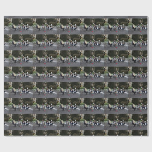 Konzert der Tiere Geschenkpapier
