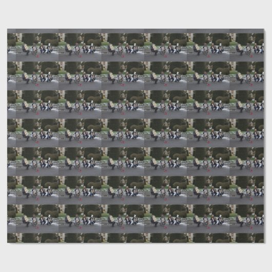 Konzert der Tiere Geschenkpapier (Flach)