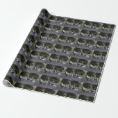 Konzert der Tiere Geschenkpapier (Ungerollt)