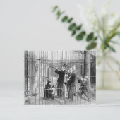 Konzert für Eisbären, 1925 Postkarte (Stehend Vorderseite)