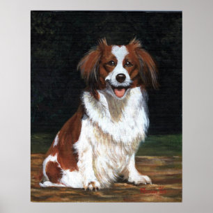 Kooikerhandje Dog Portrait Poster