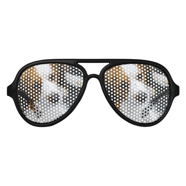 Kooikerhondje Dog Sonnenbrille (Vorderseite)