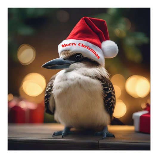 "Kookaburas' Weihnachtsjubiläum" Fotodruck (Vorne)