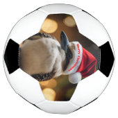 "Kookaburas' Weihnachtsjubiläum" Fußball (Gedreht)