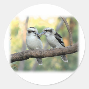 Kookaburra 9Y179D-037 Runder Aufkleber