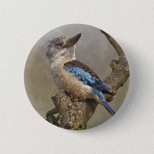Kookaburra-Abzeichen Button (Vorderseite)
