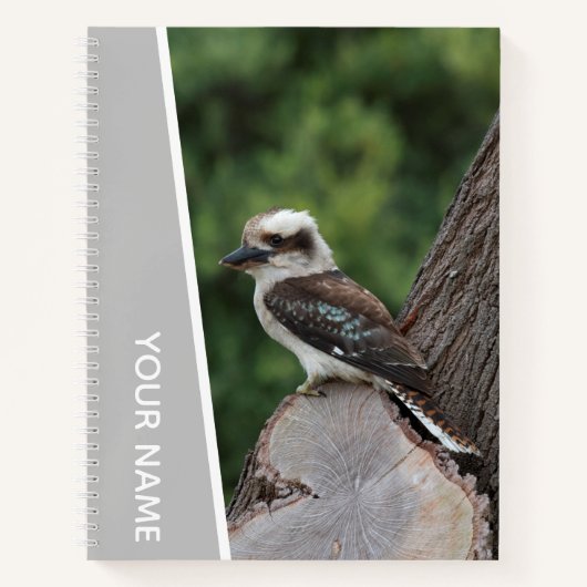 Kookaburra Australia Laughing Bird, Silver Notizblock (Vorderseite)