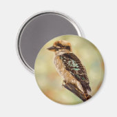 Kookaburra - Australian Bird Art Magnet (Vorderseite/Rückseite)