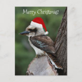 Kookaburra Bird Animal Red Weihnachtsmannmütze Chr Postkarte (Vorderseite)