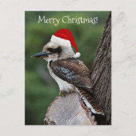 Kookaburra Bird Animal Red Weihnachtsmannmütze Chr Postkarte