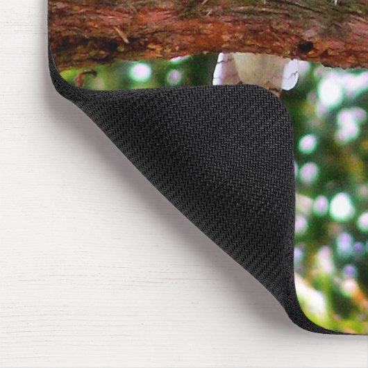 Kookaburra Bird auf einem Baumzweig Mousepad (Ecke)