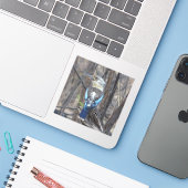 Kookaburra Bird Aufkleber (Laptop mit iPhone)