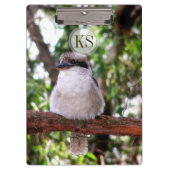 Kookaburra Bird Australia Fotografie Klemmbrett (Vorderseite)