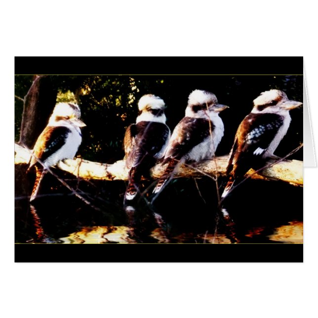 Kookaburra Bird Choir Card (Vorderseite (Horizontal))