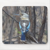 Kookaburra Bird Mousepad (Vorne)