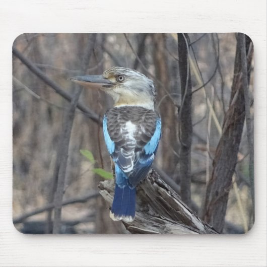 Kookaburra Bird Mousepad (Vorne)